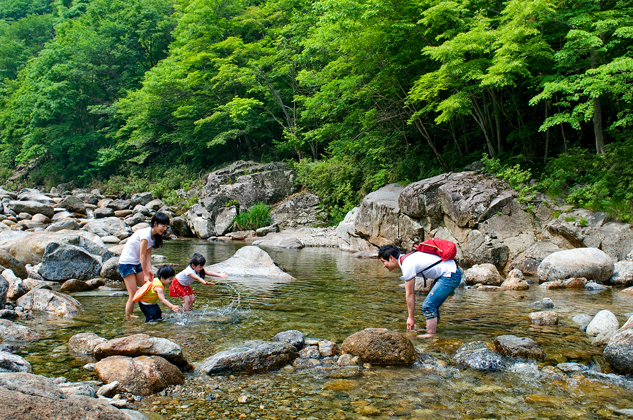 Healing trip with nature, Namwon 코스 