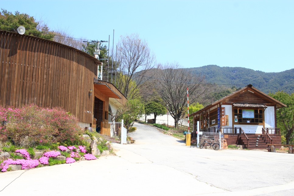 Namwon Natural Recreation Forest 대표 이미지