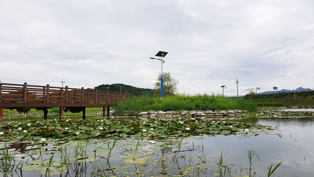 Yocheon Ecological Wetland Park 대표 이미지