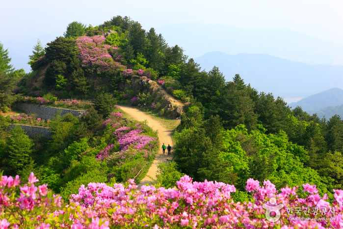 Namwon Walking on Pink Ridge, 1 Night 2 Days 코스 